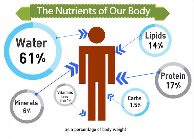 6-nutrients-that-keep-your-body-functioning-by-writing-soul-medium