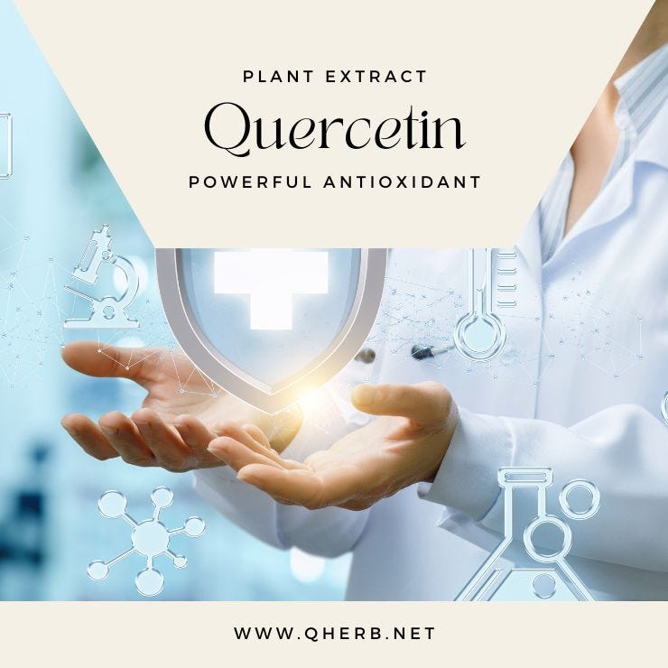 Unlocking the Benefits of Quercetin Powder A Comprehensive Guide by