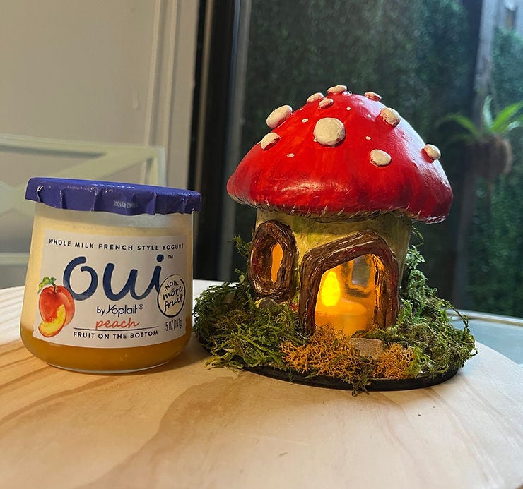 Oui yogurt cheap containers