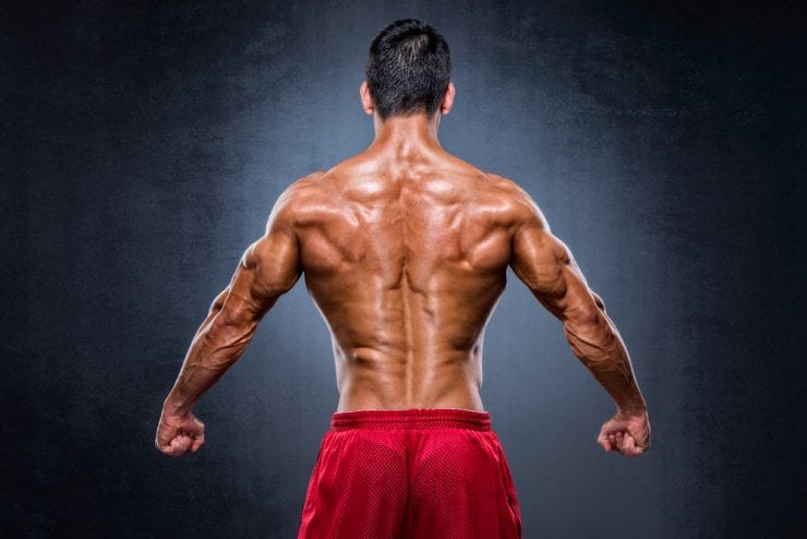 Top Back Exercises. Best back to build muscle… | by Jonathan Henry | In Fitness And In Health | Medium