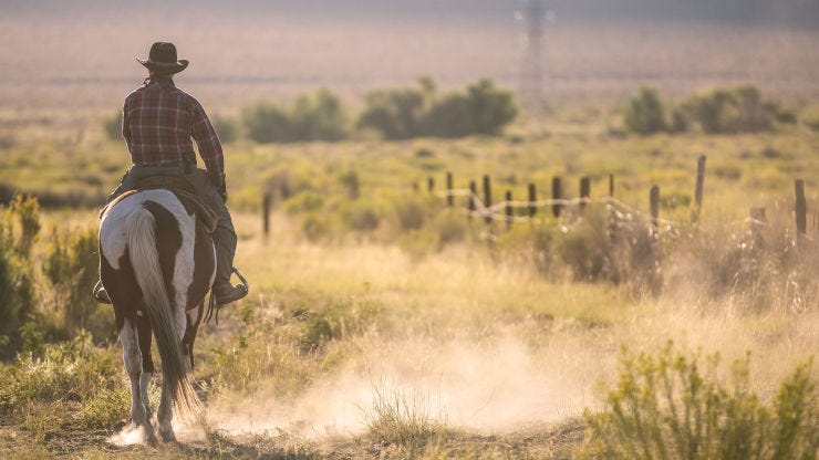 Lonesome Cowboy Ranch is much more than a store