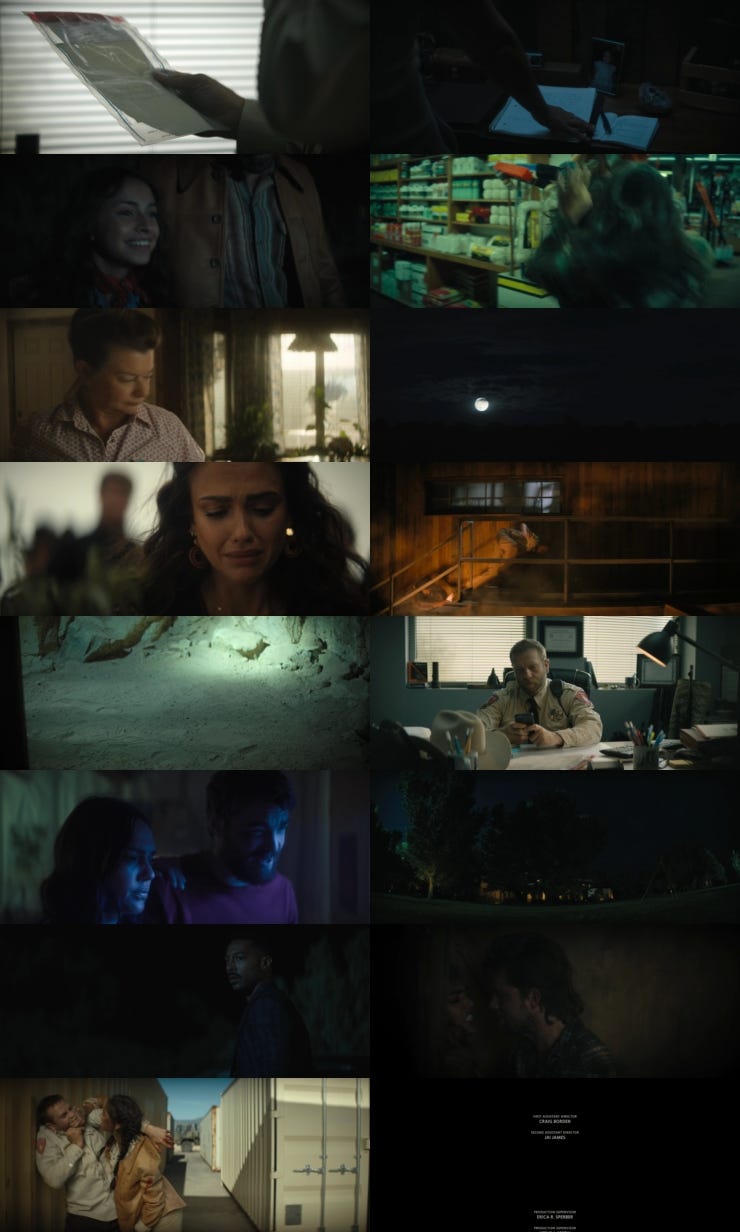 Download Trigger Warning (2024) 1080p 720p 480p WEBHDRip [Hindi