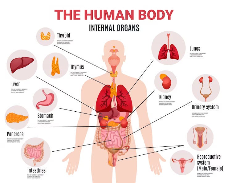 pH level effect on human body