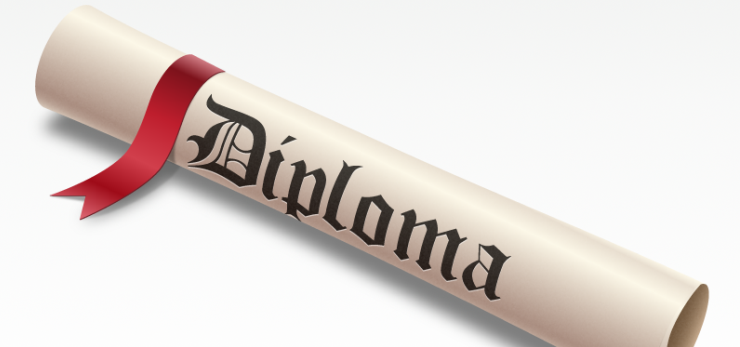 How Can Diploma In Business Management Contribute to Your Success?