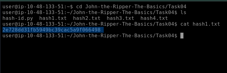 John the Ripper: The Basics