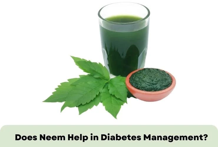 Does Neem Help in Diabetes Management? — Vedroot Ved Root Medium