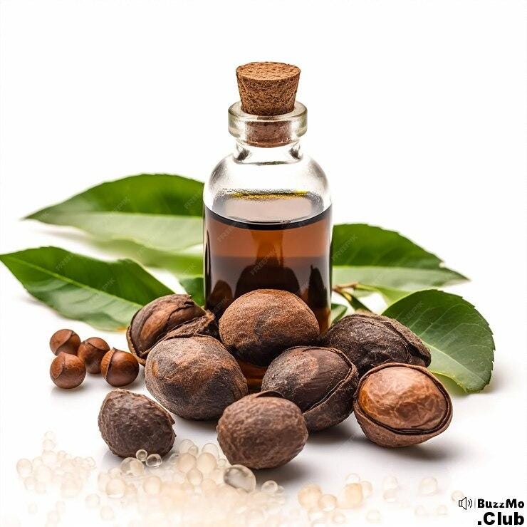 The Side Effects of Jamaican Black Castor Oil for Hair BuzzMo by