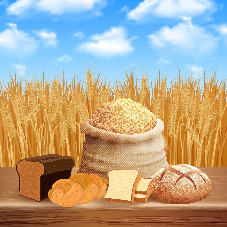 Is eating wheat bread every day unhealthy?