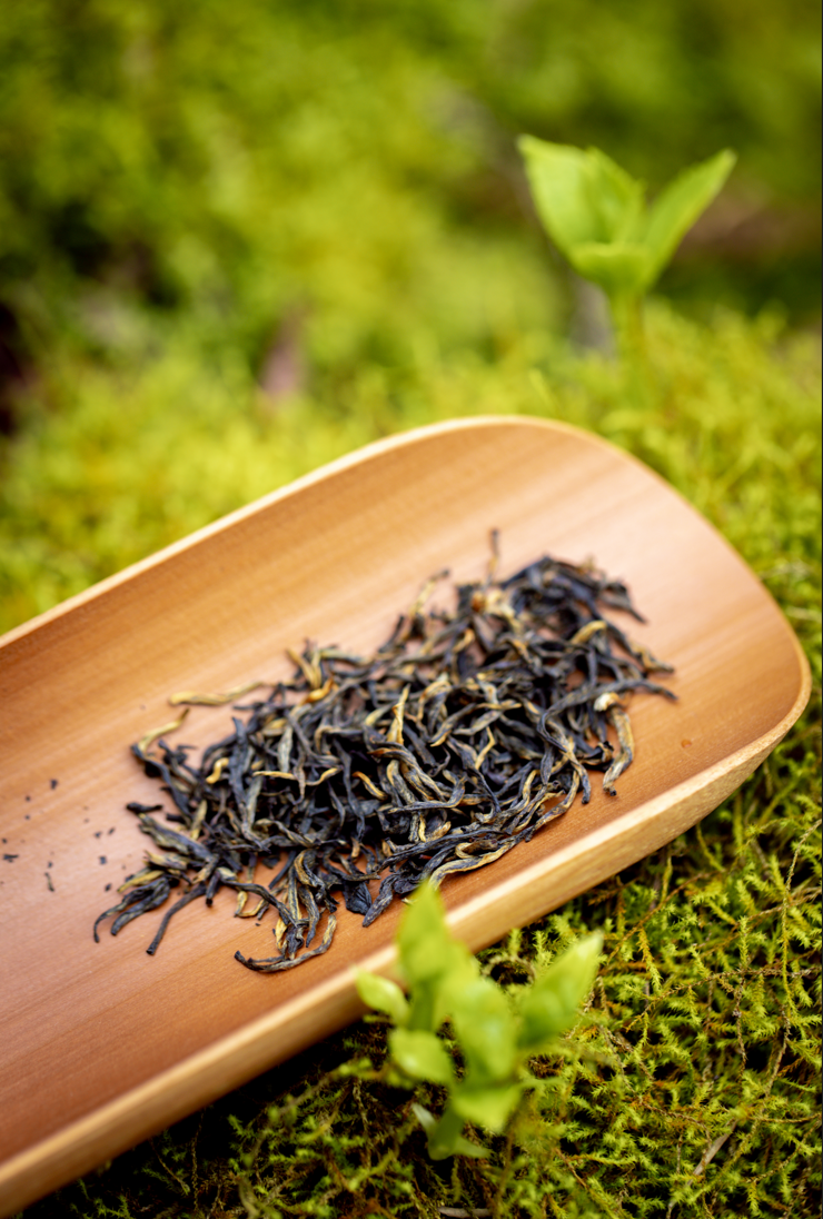 Interpretation and Enlightenment of “German Tea Market Annual Report”