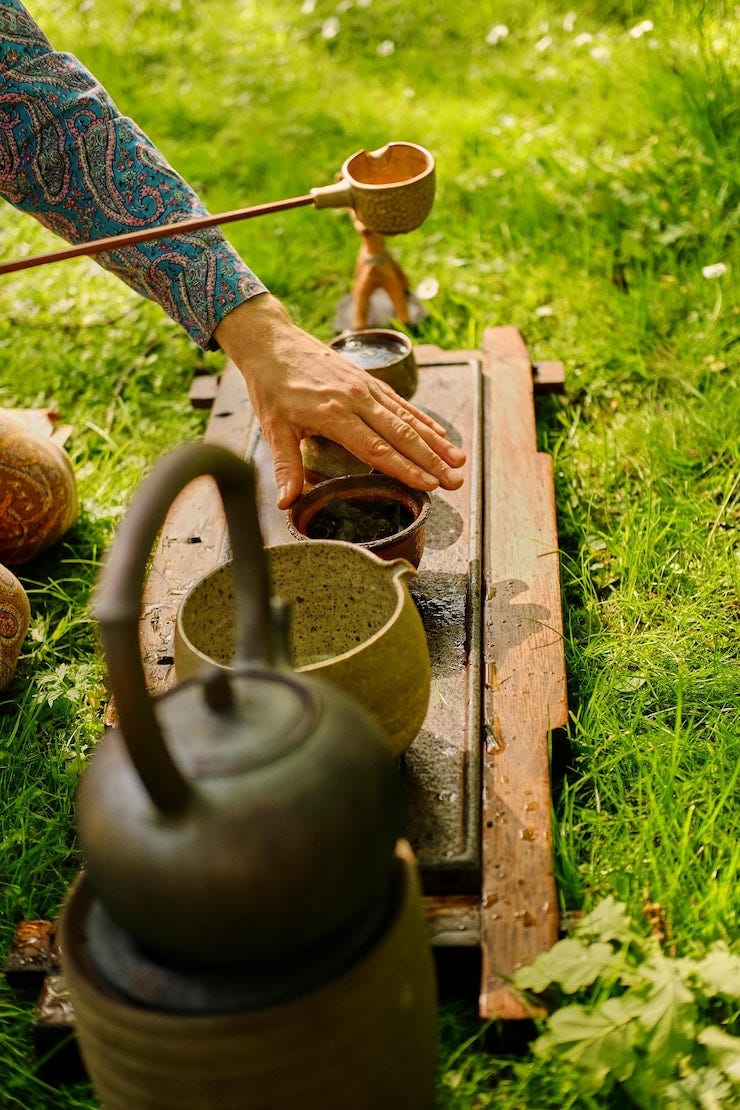 Tea Ceremony Near a Local Plant: A Mindful Ritual Connecting Nature ...