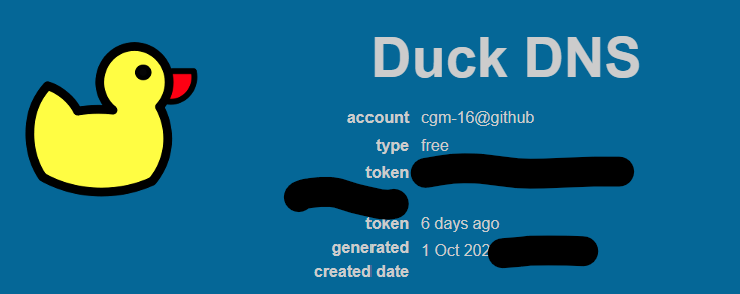 인트라넷에서 인터넷으로, DDNS와 DuckDNS