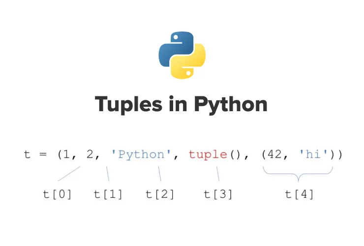 Understanding of Python Tuples. Python tuples are another fundamental ...