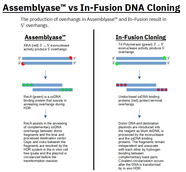 The Future of Assemblyase™. Lambda Red Exo and the TypeII… by