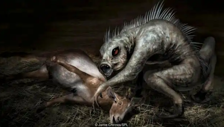 Chupacabra, the Blood-Sucking Legend