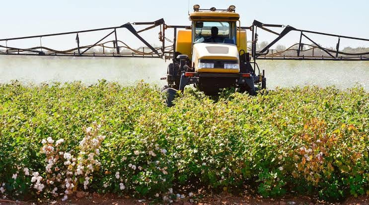 The Cotton in Your Shirt Starts With a Farmer Earning Almost Nothing.