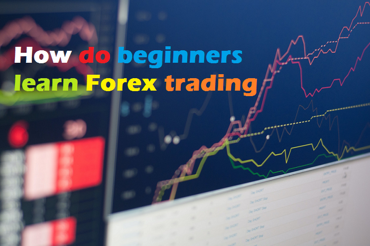 How do beginners learn Forex trading | by info seven | Medium