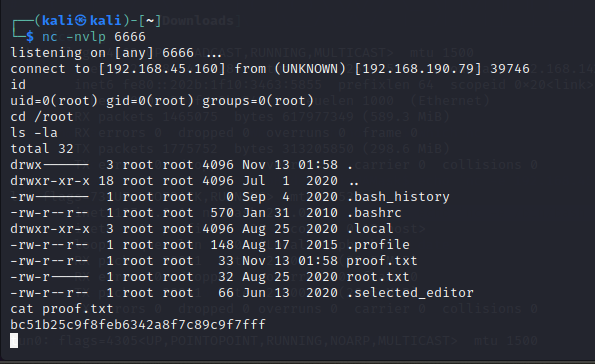 root flag