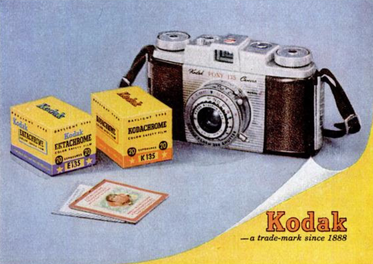 A Film Friday film review of Kodak Ektachrome E100 with sample photos - The Codex