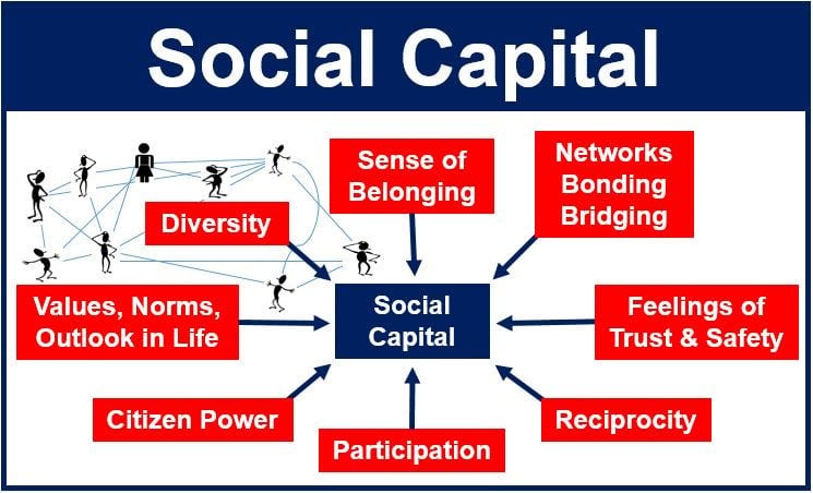 Why Social Capital Is the Hidden Superpower Behind Health and Success