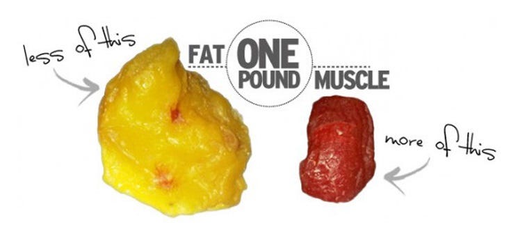 Кг жира и кг мышц. Кг жира и кг мышц. Кг жира и кг мышц. Кг жира и кг мышц. Кг жира и кг мышц.