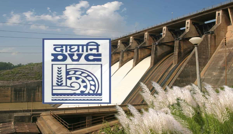 Why India Created DVC Before It Even Had a Constitution | by Avadhesh S ...
