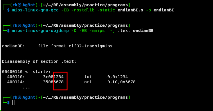 Endianness Demystified: How CPUs Store Multi-Byte Values