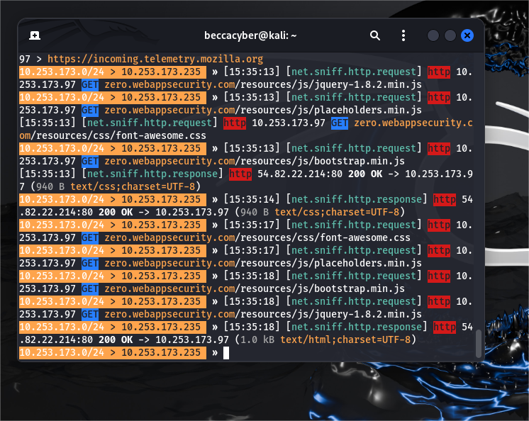 captured http traffic 2