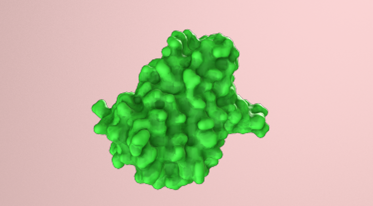 Green Fluorescent Protein