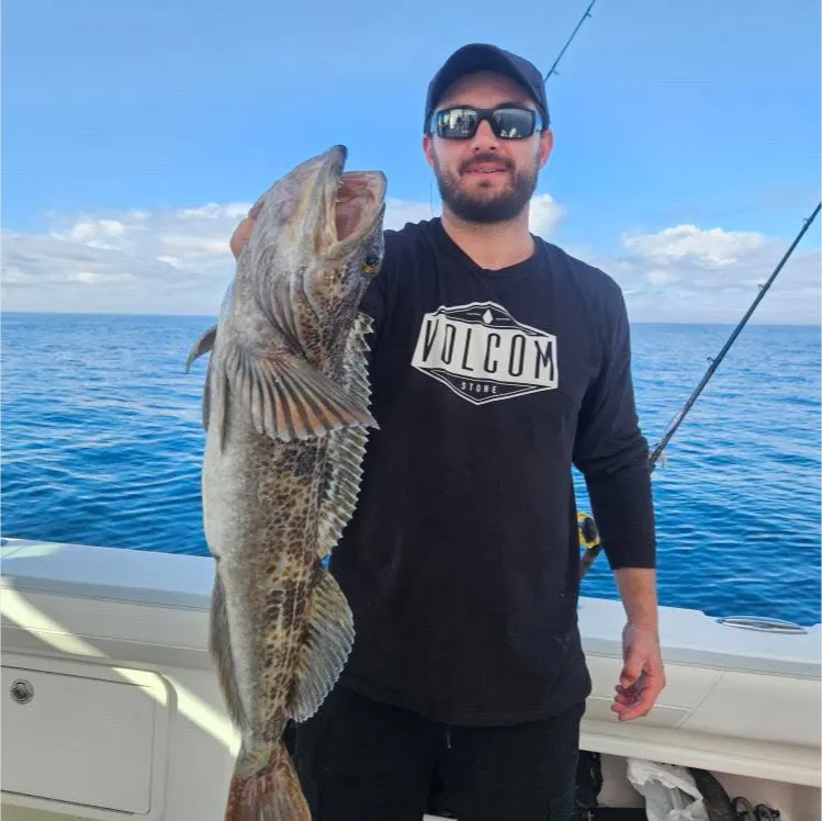 Deep Sea vs. Shoreline Fishing: What to Expect and Which Is Right for You