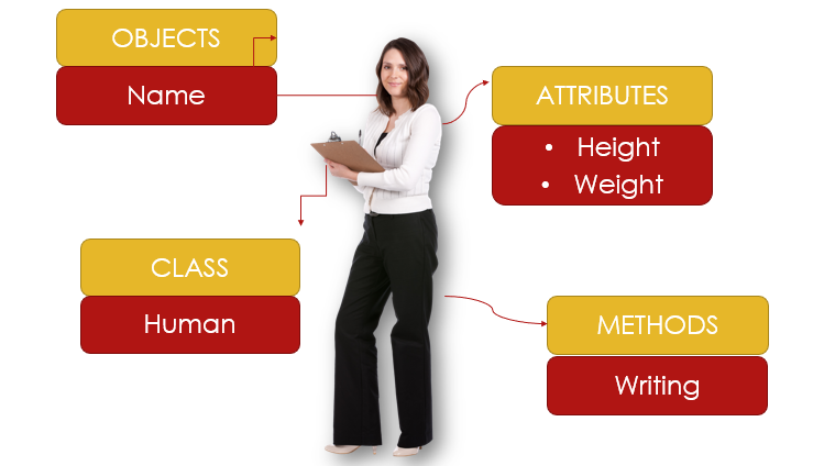 Object-Oriented Programming. What is Object Oriented Programming? | by ...