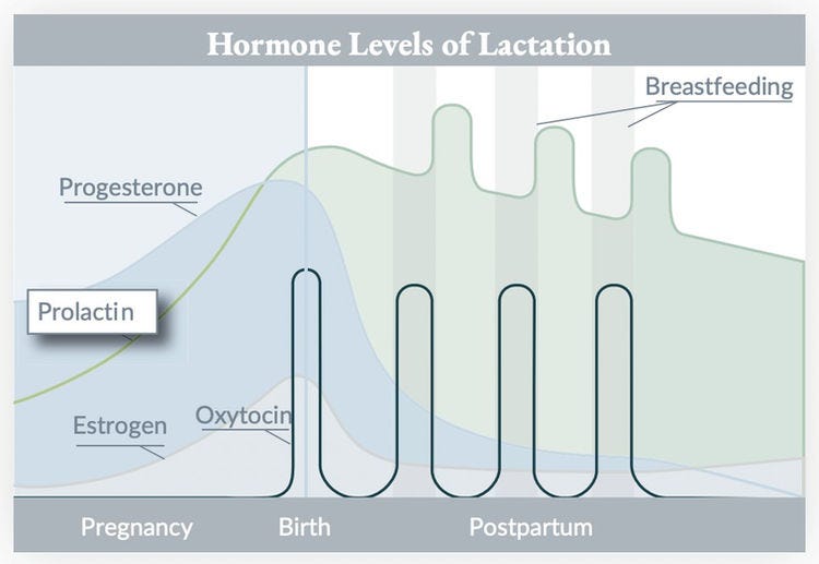 Oxytocin and Breastfeeding: What You Need to Know