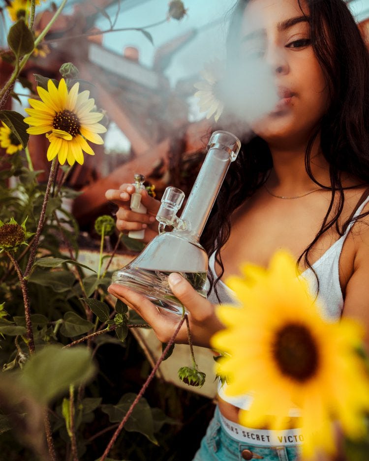 The Science Of The Bong Explained: How Does a Bong Work? | by Alyssha Bal |  nordicoil | Medium