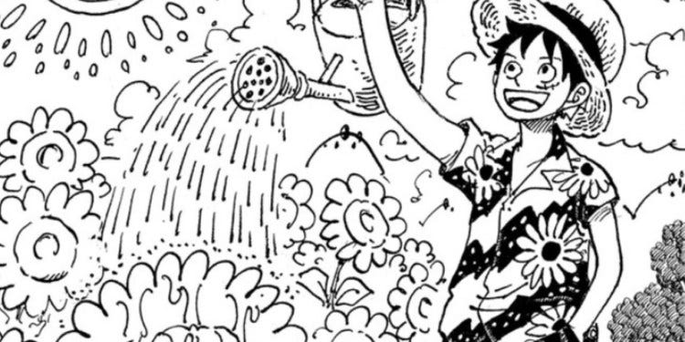 One Piece Chapter 1080: On Break This Week! Release Date & More | by