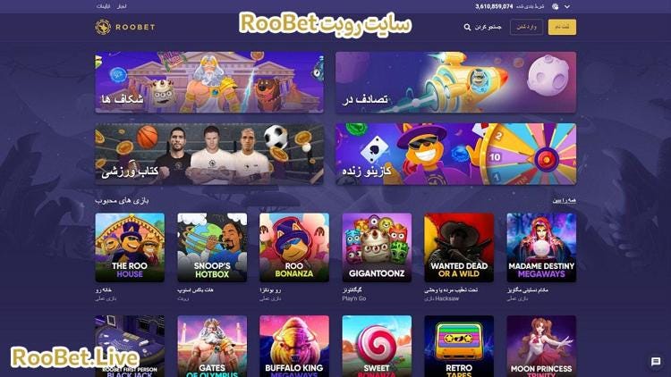 سایت شرط بندی روبت roobet