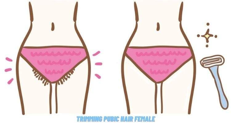 Shaving Pubic Area Female. So, What are the benefits of shaving… | by Maria  J. | Medium