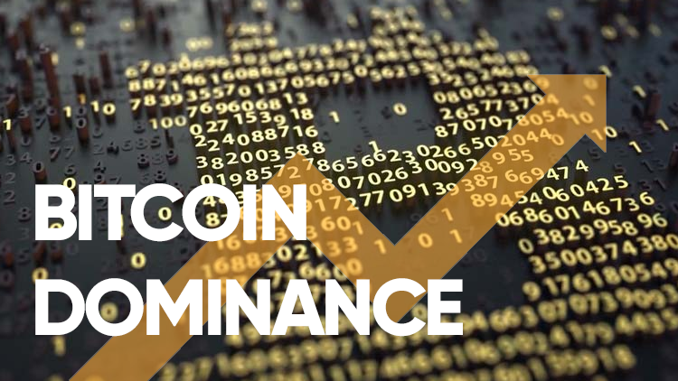 Bitcoin Continues To Prove Its Dominance In The Crypto World
