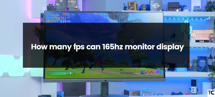 How Many FPS Can a 165Hz Monitor Display?, by Guides Arena