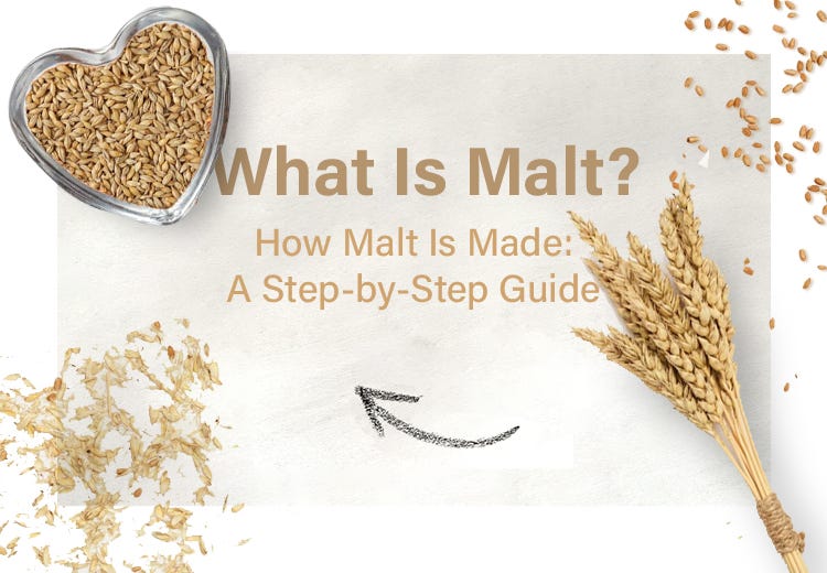 Brewing Malt Explained How Malt Is Made by Ultrezenzymes Medium