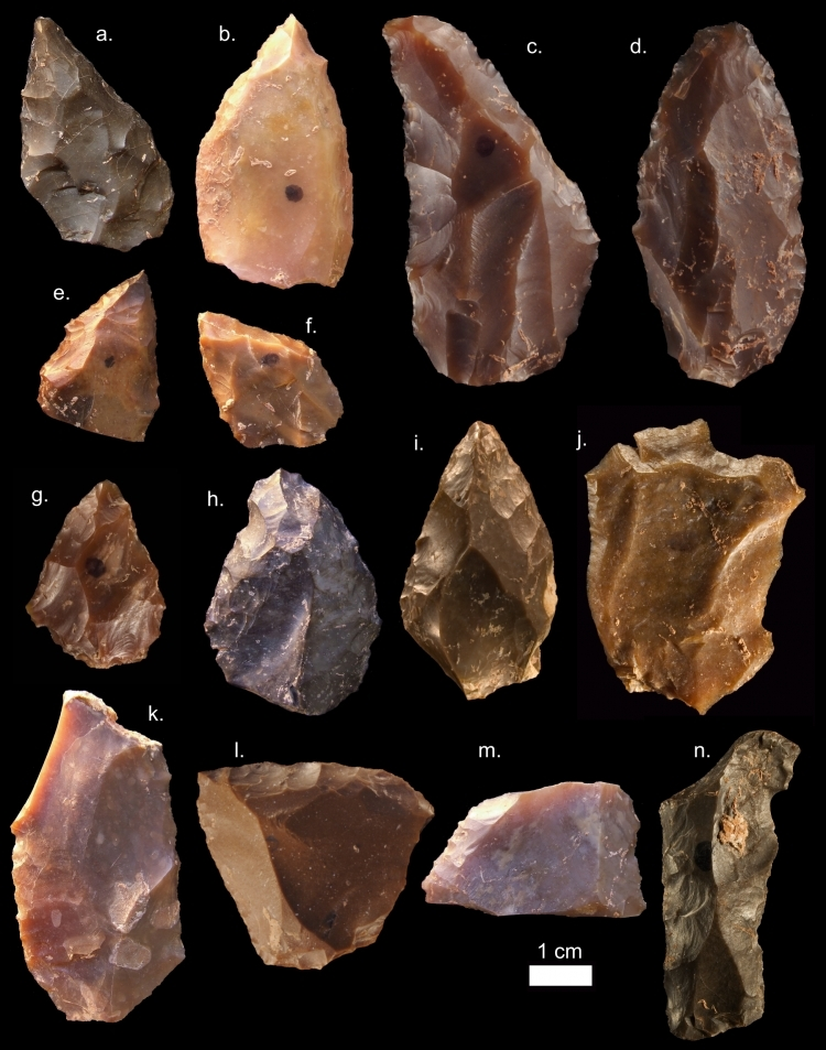 Middle Stone Age stone tools from Jebel Irhoud (Morocco), dated to approximately 300,000 years ago. Image by Mohammed Kamal (MPI EVA Leipzig), Wikimedia Commons, licensed under CC BY 4.0. Kamal, M. (2017). Stone tools from Jebel Irhoud.png. Wikimedia Commons. Licensed under Creative Commons Attribution 4.0 International.