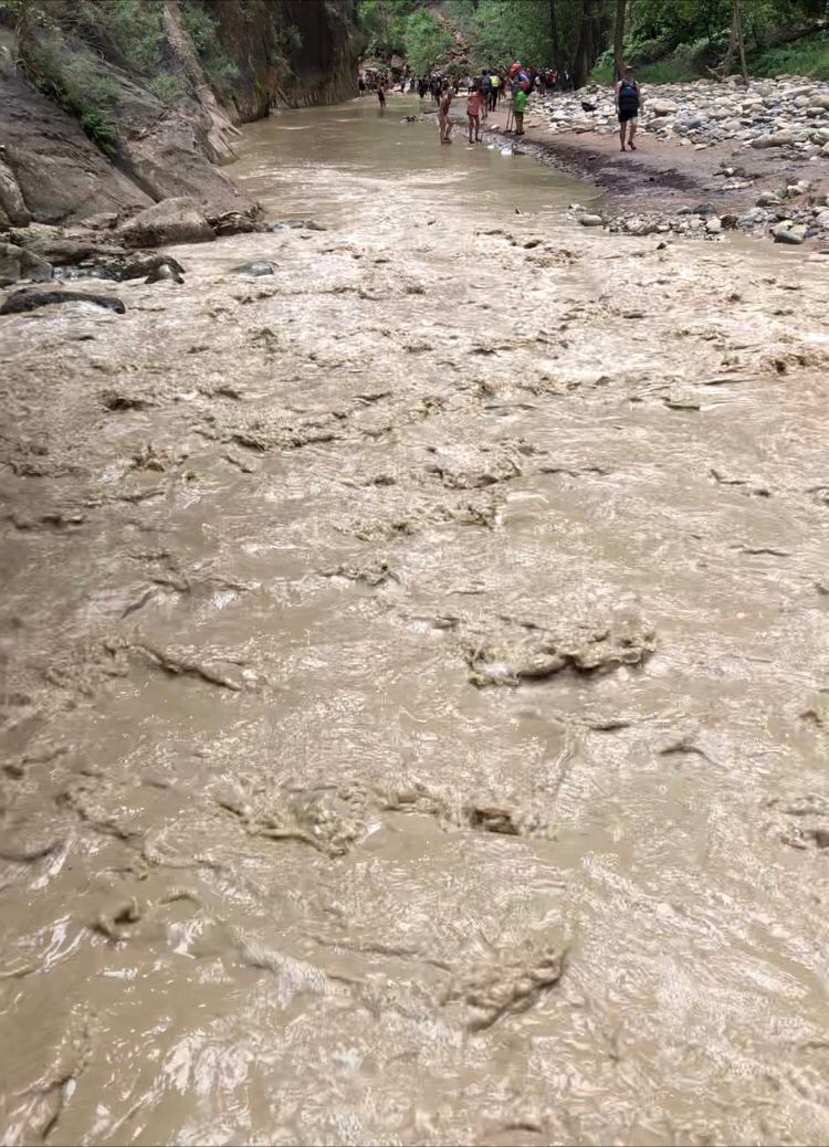 Am I the Last Person to Find Out that the Ikea Catalog is the Most