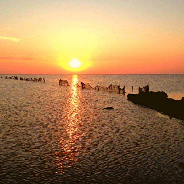 Tunisia- A Land of Endless Wonders