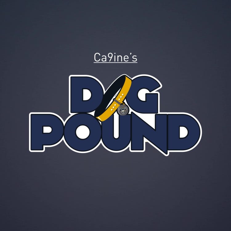 Ca9ine’s Dog Pound