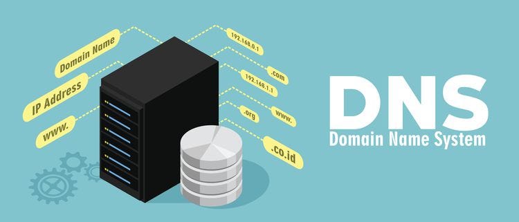How does DNS work?