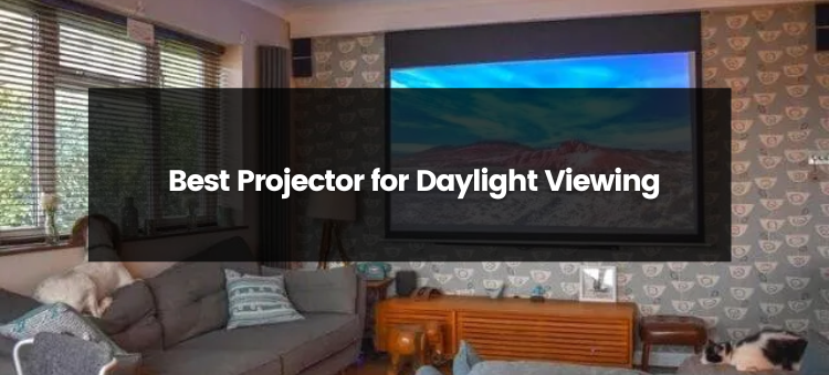 Top 9 Best Projector for Daylight Viewing | 2024 | Medium
