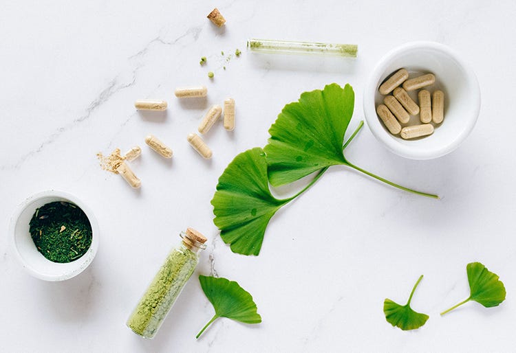 แปะก๊วยแห่งชีวิต ค้นพบความสดชื่นและความแข็งแรงที่สูงสุด🍀🍀