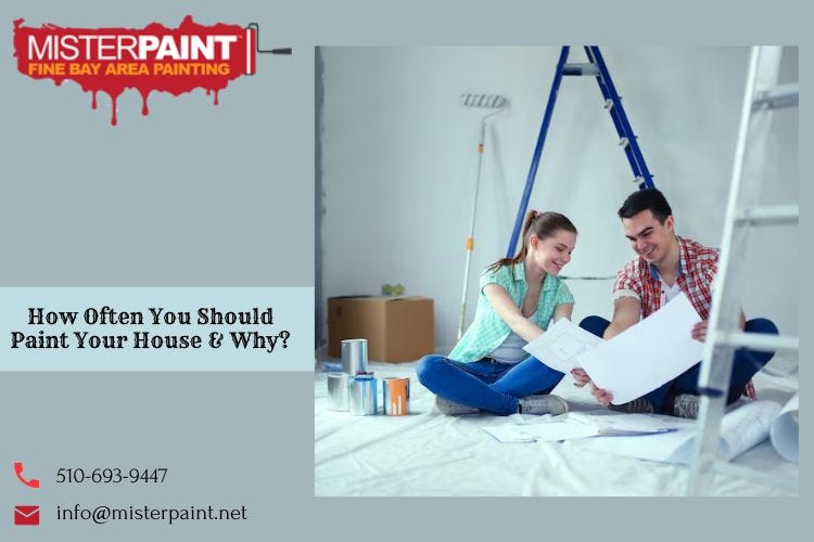 Mister Paint’s Guide Prolonging Brilliance — The Frequency of