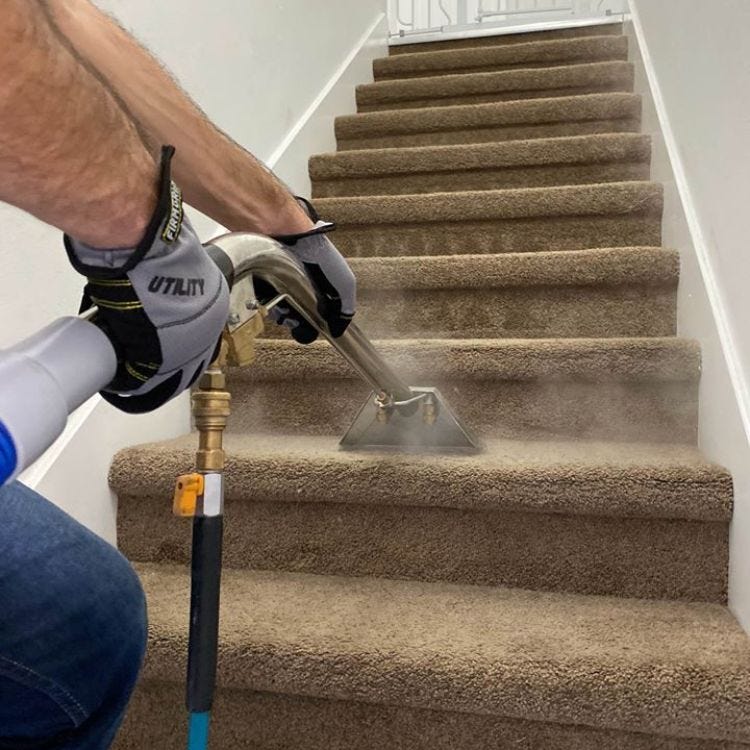 Keeping Your Carpets Fresh The Ultimate Guide to Carpet Cleaning by