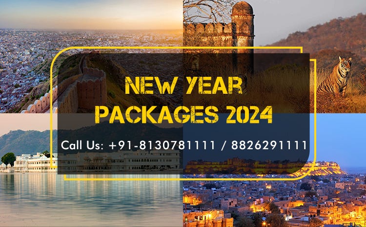 New Year Party 2024 In Delhi alli annabel