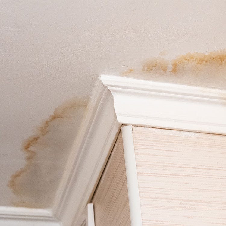 Dealing with a Ceiling Leak: Signs, Solutions, and the Importance of Water Damage Restoration